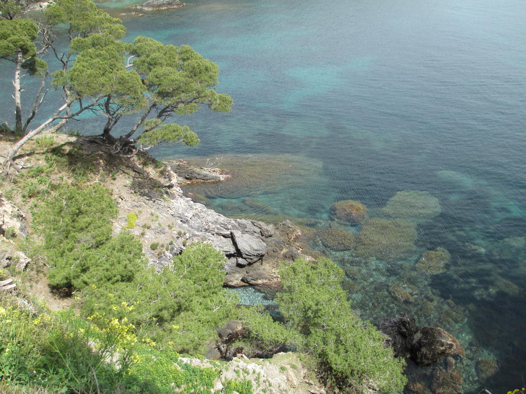 Ibis Styles Hyeres Rooftop & Spa Εξωτερικό φωτογραφία